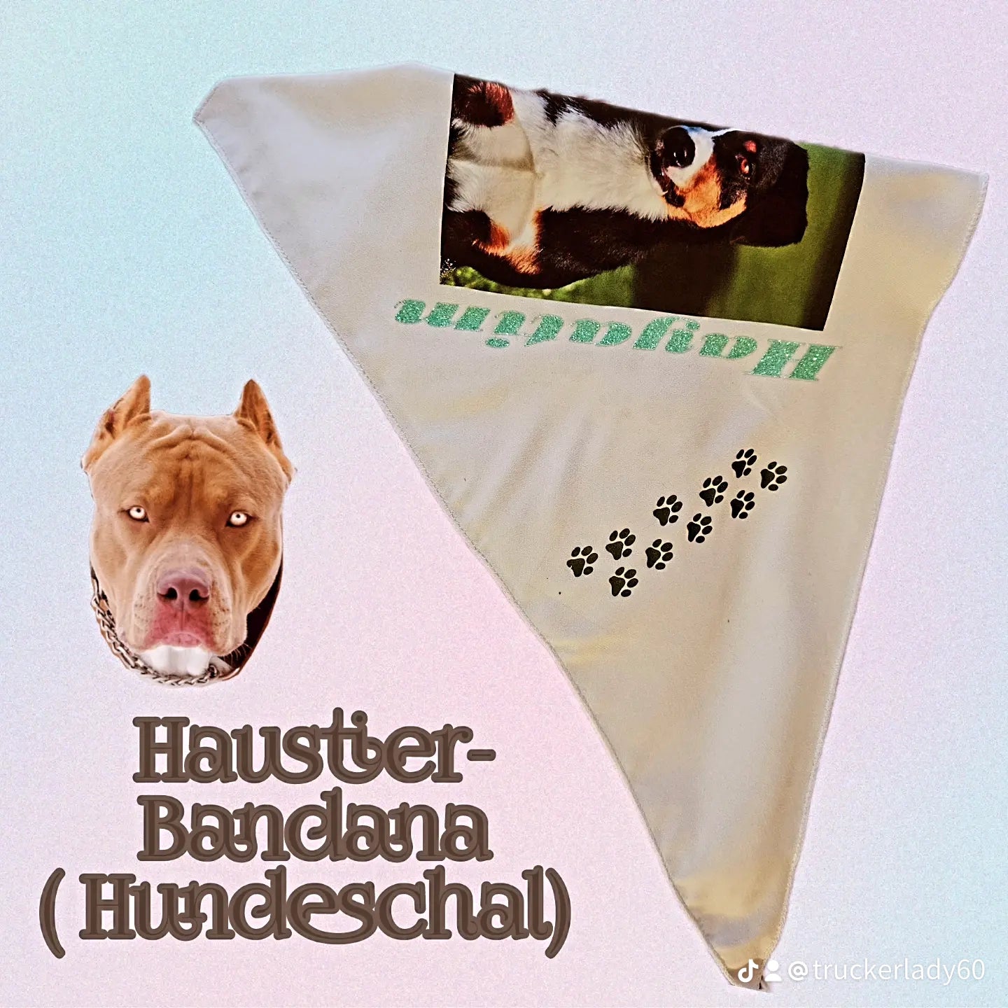 Haustier- Bandana ( Hundeschals)